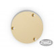 LP EPIPHONE SWITCH PLATE IVORY 56 MM DIA