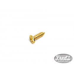 PICKGUARD SCREWS FENDER® STYLE GOLD (20pcs)