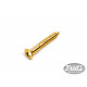 GOTOH® WS-04 STRAP PIN SCREWS 3.5 x 25mm GOLD (20pcs)