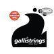 GALLI ACOUSTIC BASS PROCOATED 40-100
