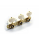 MECANIQUES GOTOH CLASSIC 1800 BOUTON PLASTIC IVORY SOLID BRASS 1:14