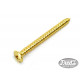 MOUNTING SCREWS FOR NECK PLATE FENDER® STYLE 4.2 x 45mm GOLD (4 pcs)