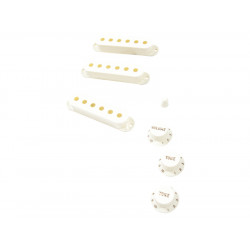 FENDER® PURE VINTAGE '60S STRATOCASTER® ACCESSORY KIT