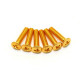 VIS BOUTON GOLD SMALL (6)