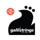 GALLI STRINGS® CORDES GUITARE ÉLECTRIQUE FILET PLAT 011-050