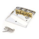 SAN LORENZO TELE BRIDGE CLASSIC ALUMINIUM POLISHED