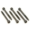 FLOYD SPECIAL STRING LOCK SCREWS (6)