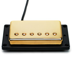 NITROBUCKER HOT PAF HUMBUCKER GOLD