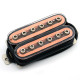 SP CUSTOM CHAOSLAND HUMBUCKER NECK TRANSPARENT