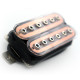 SP CUSTOM CHAOSLAND HUMBUCKER NECK TRANSPARENT