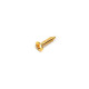 SHORT SCREW FOR PICKUP RING GOLD (20pcs)