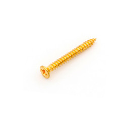 PICKUP RING SCREW FLAT HEAD 2 x 19mm GOLD