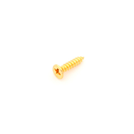 PICKUP RING SCREW FLAT HEAD 2 x 9mm GOLD