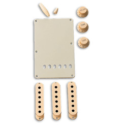 Accessory Kit, Stratocaster®, Aged White