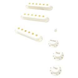 FENDER® PURE VINTAGE '60S STRATOCASTER® ACCESSORY KIT