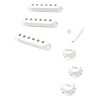 FENDER® PURE VINTAGE '50S STRATOCASTER® ACCESSORY KIT