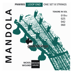 MANDOLA NICKEL WOUND SET IN G (019W- 025- 042-060)