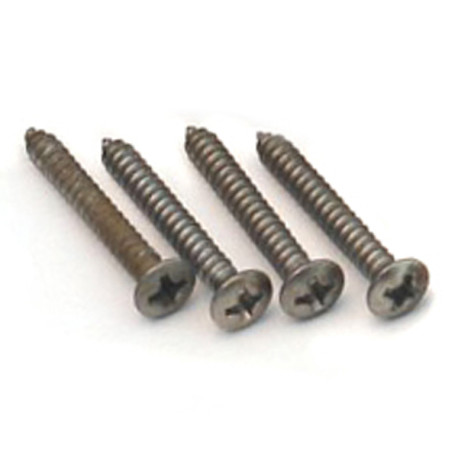 BRIDGE MOUNTING SCREW AGED (4)