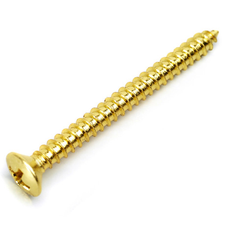 NECK PLATE SCREWS 4.2 x 45mm GOLD (4pcs)