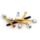 NECTITE® BOLT-ON NECK SCREWS AND INSERTS 40mm M4 GOLD (4 PCS)