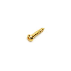 GOTOH® VIS MÉCANIQUES WS-02 2.1 x 10mm TÊTE RONDE DORÉ (20pcs)