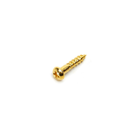 GOTOH® VIS MÉCANIQUES WS-02 2.1 x 10mm TÊTE RONDE DORÉ (20pcs)