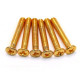 VIS BOUTON GOLD LONG (6)