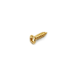 ALL PARTS® PICKGUARD SCREWS GIBSON® STYLE GOLD (20pcs)