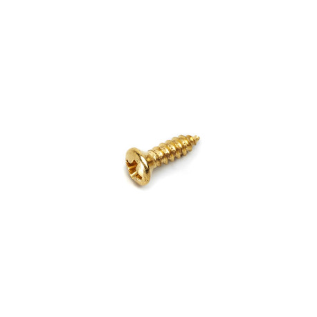 ALL PARTS® PICKGUARD SCREWS GIBSON® STYLE DORÉ (20pcs)