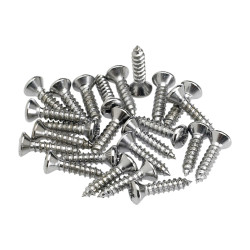 Pickguard/Control Plate Mounting Screws (24) (Chrome)