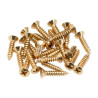 Pickguard/Control Plate Mounting Screws (24) (Gold)