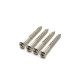 TREMOLO CLAW SCREWS (4)