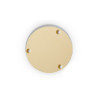 LP EPIPHONE SWITCH PLATE IVORY 56 MM DIA