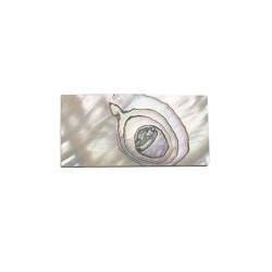 ABALONE SHELL SHEET 40 x 20 x 1mm