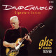 GHS® DAVID GILMOUR SIGNATURE™ CORDES GUITARE 010.1/2-050