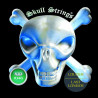 SKULL STRINGS GUITAR STANDARD LINE 10-46