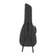 FENDER® FAC-610 CLASSICAL GIG BAG