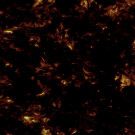 PLAQUE PROTECTION ADHÉSIVE À DÉCOUPER POUR ACOUSTIQUE 29 x 24 x 0.6cm TORTOISE