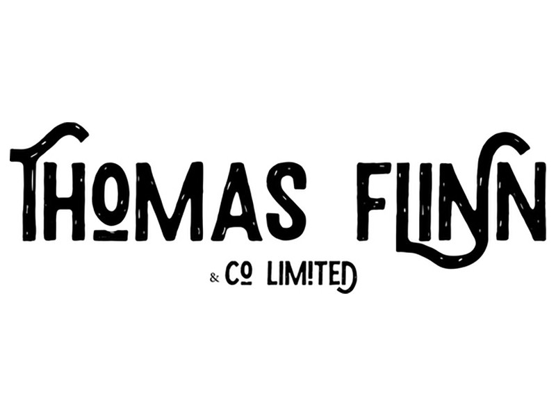 THOMAS FLINN® LYNX SET DE MINI RACLOIRS (4pcs) - Fred's Guitar Parts